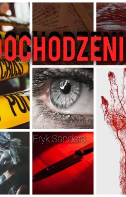 Dochodzenie Oneshot Eryk Sanders