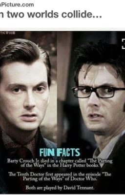 Doctor Who/Harry Potter Theory