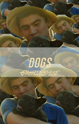 Dogs × Malum