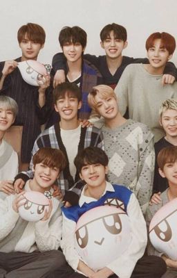 Đôi chút về gia đình Seventeen