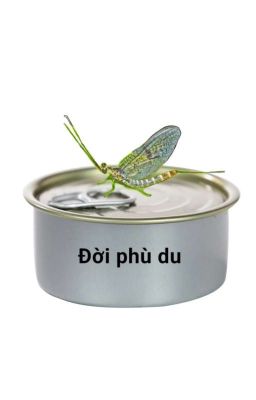 Đời phù du