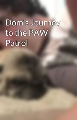 Dom's Journey to the PAW Patrol