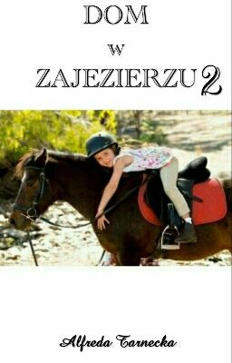 Dom w Zajezierzu 2