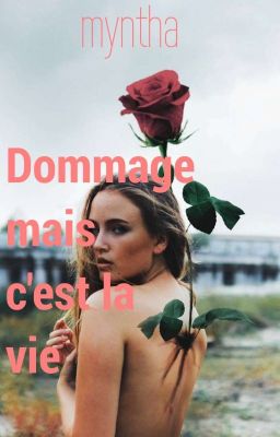 Dommage mais c'est la vie