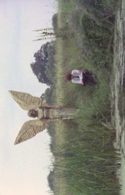 đòn