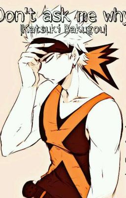 Don't Ask Me Why |Bakugou KatsukixReader|