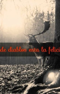 ¡Donde Diablos Esta La Felicidad!