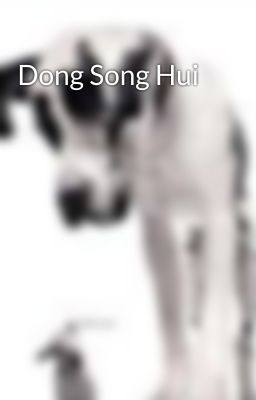 Dong Song Hui