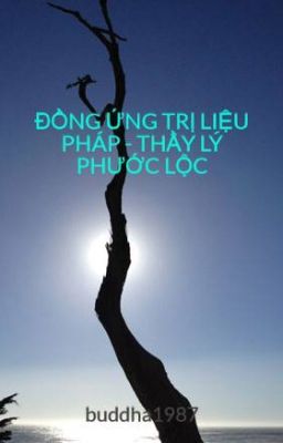 ĐỒNG ỨNG TRỊ LIỆU PHÁP - THẦY LÝ PHƯỚC LỘC