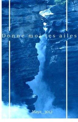 Donne moi des ailes 