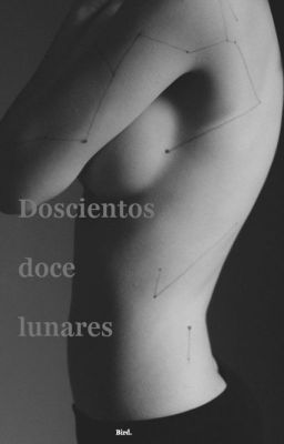 Doscientos doce lunares