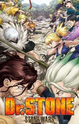 Dr stone book 2