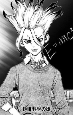 Dr.Stone (Reader x Senku)