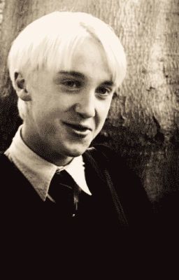 Draco Malfoy Love Story