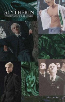 Draco Malfoy Lovestory ❤️