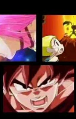 dragon ball super  (ppgz y rrbz )