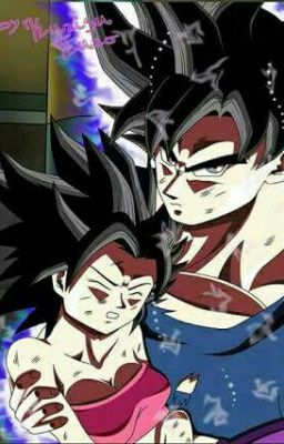 Dragon ball super un conflicto entre universos gemelos 