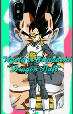 Dragon Ball, Vegeta es Fundashi