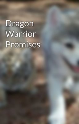 Dragon Warrior Promises