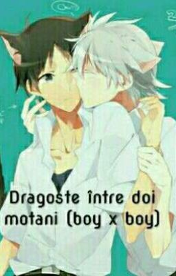 Dragoste între doi motani(boy x boy)