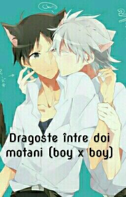 Dragoste între doi motani (boy x boy)