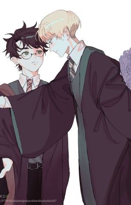 [DraHar/Drarry] Nếu Scorpius là do Harry sinh ra