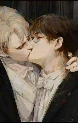 [Drarry/DraHar]Hành Trình Cua Lại Vợ Của Thiếu Gia Malfoy (DROP)