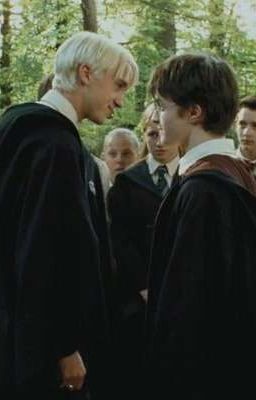 (Drarry/ Drahar) Nuôi vợ từ bé