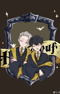 [Drarry] Hufflepuff!!