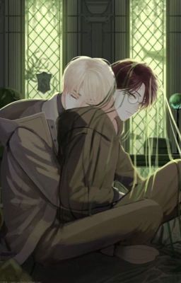 Drarry || Nuôi vợ từ nhỏ