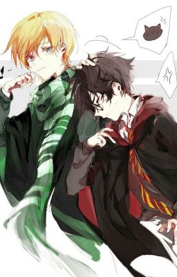 [Drarry]Potter luôn có thể làm mọi chuyện tồi tệ hơn