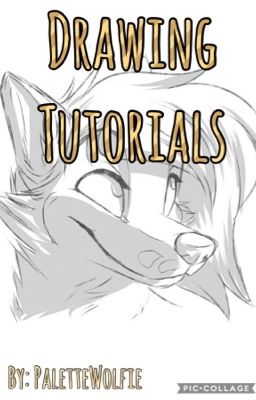 Drawing Tutorials