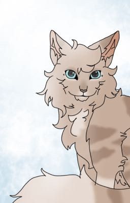 Drawing warrior cats