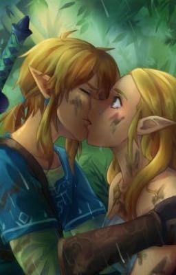 Dreamer Of Dragons (Link x Zelda)