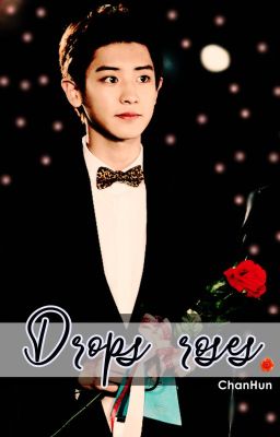 Drops roses | ChanHun