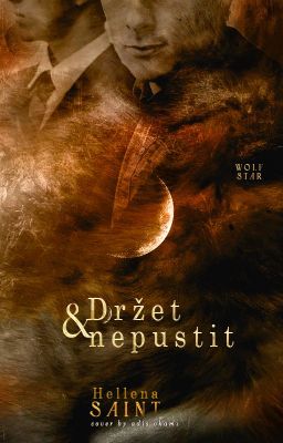 Držet a nepustit [HP, Remus/Sirius]