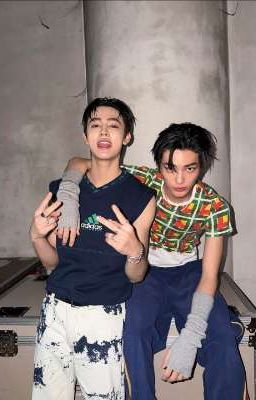 đu idol