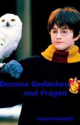 Dumme Harry Potter Gedanken und Fragen