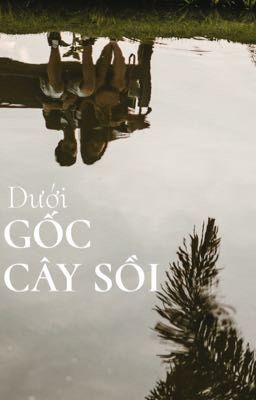 Dưới gốc cây sồi