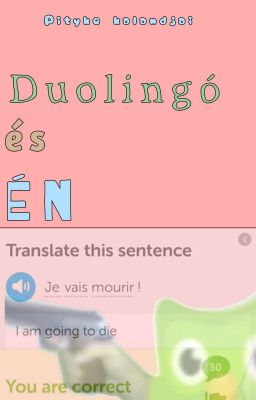 Duolingo és én