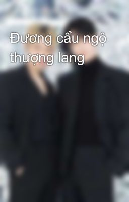 Đương cẩu ngộ thượng lang