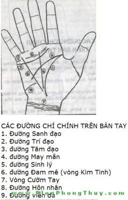 duong chi tay