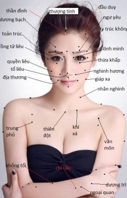 Đường đi của các kinh mạch trong cơ thể