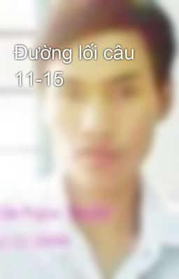 Đường lối câu 11-15