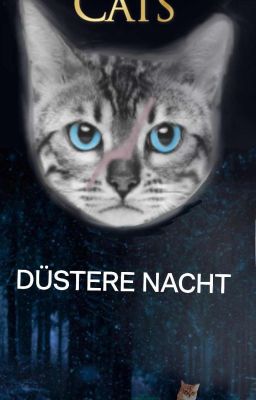 Düstere Nacht 