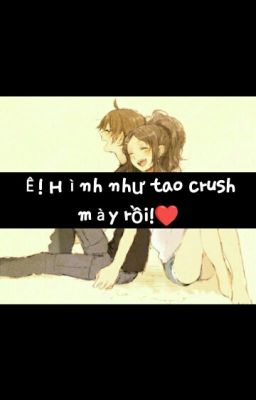 Ê! Hình như tao crush mày rồi..!