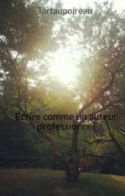 Écrire comme un pro !