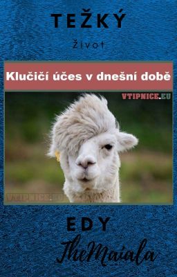 Eda hledá štěstí