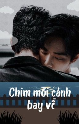 (EDIT/BJYX) CHIM MỎI CÁNH BAY VỀ 倦鸟知返 - 失灵