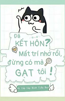 [EDIT] Đã kết hôn? Mất trí nhớ rồi, đừng gạt tôi!